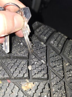 Zimni sada Ford R16 - 2