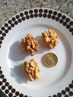 Vlašské ořechy - pouze celá jádra a půlky - 2