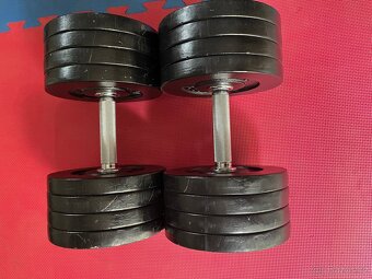 Profi činky 2x40kg - 2