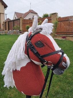 Hobby Horse - 2