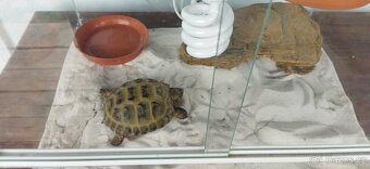 Prodám  terárium - 2