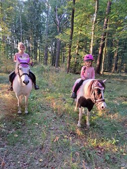Úžasná pony kobylka - 2