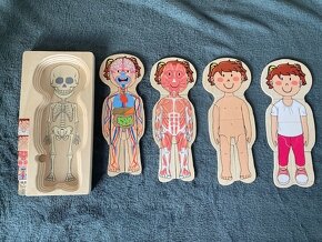 Skládačka/vkládačka lidské tělo puzzle dřevěné holka a kluk - 2