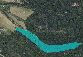 Prodej lesa, 60981 m², Česká Třebová - Svinná - 2