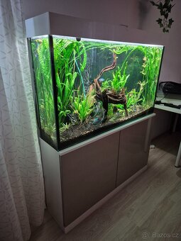 Atypické akvárium - 2