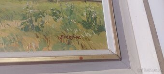 Obraz venkovské krajiny - Bureš 70 - 2