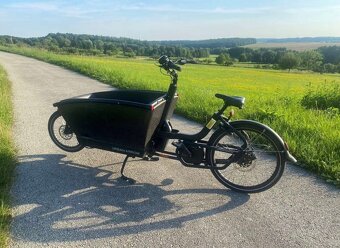 Cargo kolo Urban Arrow Family Performance Line - 2