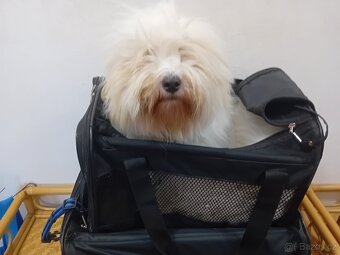 Taška pro přenos psa - 2