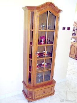 univerzální rustikální jednodveřová vitrína /skleník - 2