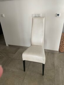 Jídelní židle - 2