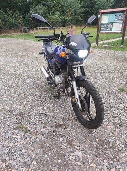 Yamaha YBR 125 - 2