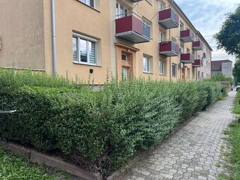 Zahradní práce - 2