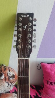 Dvanácti strunná kytara - 2