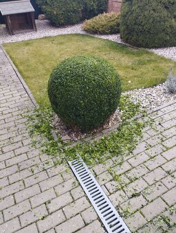 Дом и сад - 2