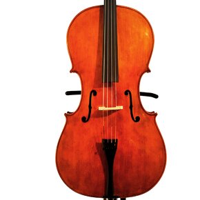 Mistrovské violoncello 4/4 model Amati - 2