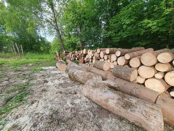 Prodám palivové dřevo, špalky na štípání dřeva - 2