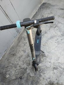 Narex - 2