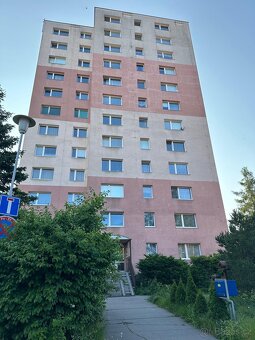 Pronájem bytu 1+1 o rozloze 40m2 - 2