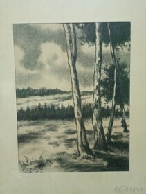 Obraz Vítězslav Fleissig 1951 - 2