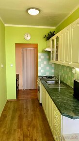 Pronájem bytu 2+1, 55 m² s lodžií - Hustopeče u Brna - 2