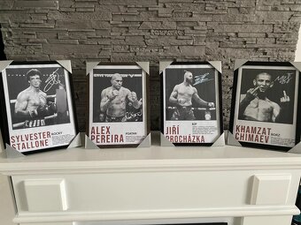 ❗️Prodej custom print-arts s UFC fightery dle výběru - 2