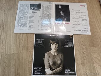 3x LP Hana Hegerová - 2