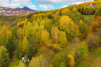 Prodej lesa, 3004 m², Skalice u České Lípy - 2