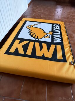 Kiwi pelech nový - 2