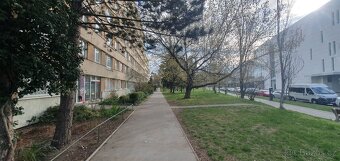 Pronájem bytu 2+1 50m2 ul. Plamínkové, Pankrác - 2