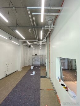 Malířské a natěračské práce - 2