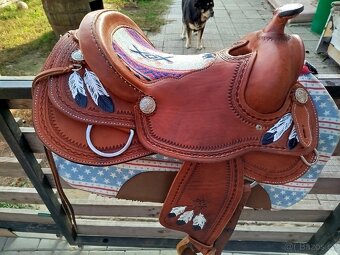 Reining Šafář - 2