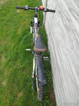 Pell's Razzer Team Replica 24 - 2