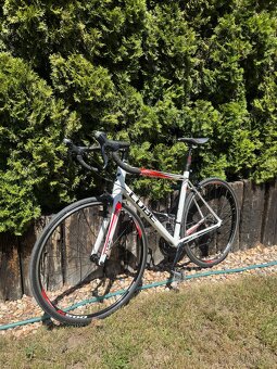 Cube Peleton 2021 - 2