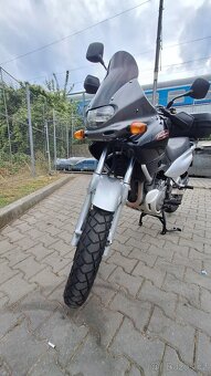 Suzuki XF 650 Freewind - 2