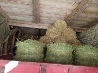 Otavy, sláma 2025 a seno 2024. - 2