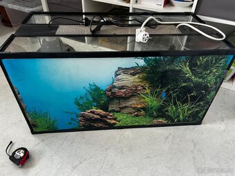 TERARIUM/ TERARKO - 2