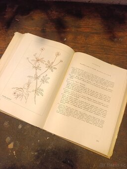 Naše rostliny v lékařství - 2