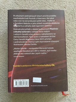 Kniha Pisecnici a probuzení krale - 2
