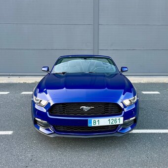 Ford Mustang Convertible 3,7 V6 // 29 000km - 2