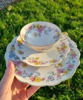 Starožitná porcelánová sada, Německo Zeh Jchecze - 2