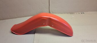 Pionýr blatník - 2