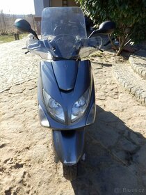 Dily Yamaha Majesty 125 - 2