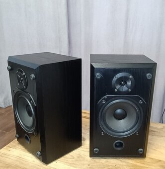 Repro BaW DS1 - 2