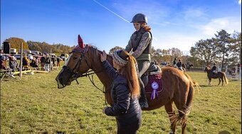 Prodám čtyřletou klisnu A1/1 - 2