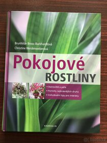 Pokojové rostliny, Balkónové rastliny,z - 2