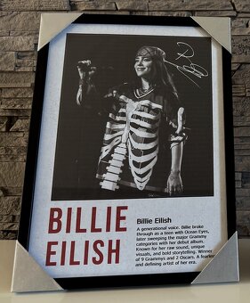 Lana Del Rey & Billie Eilish (nebo cokoliv jiného na přání) - 2