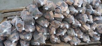 ŠTÍPANÝ AKÁT a na uzení, grilováni TŘEŠEŇ - JABLOŇ - 2