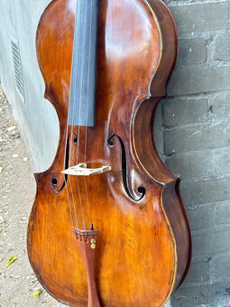 Fine Cello 44 Violoncello s etiketou Iacobus P. Gordanus 177 - 2