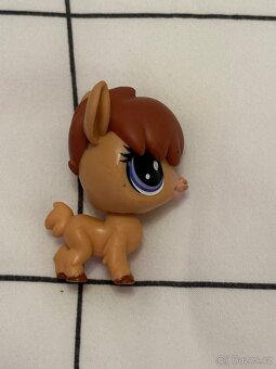 Lps lama - 2