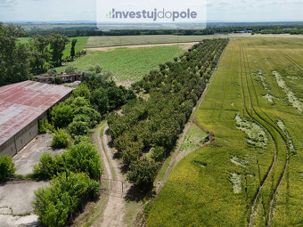 Prodej ovocného sadu v k.ú. Šardice - 2
